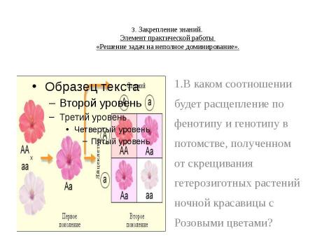 Презентация на тему "Анализирующее скрещивание. Неполное доминирование" по биологии