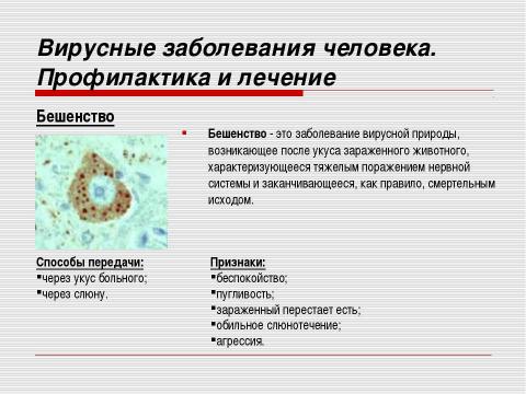 Презентация на тему "Неклеточные формы жизни. Вирусные заболевания человека" по медицине