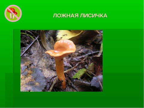 Презентация на тему "Грибное царство Смоленских борков" по начальной школе