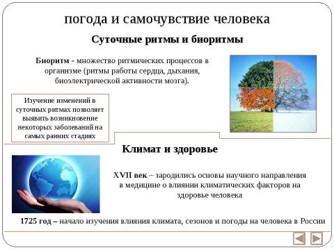 Презентация на тему "Экология и здоровье человека 11 класс" по экологии