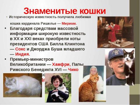 Презентация на тему "Кошки в истории, обществе, в английской и русском языках и литературе разных стран" по литературе