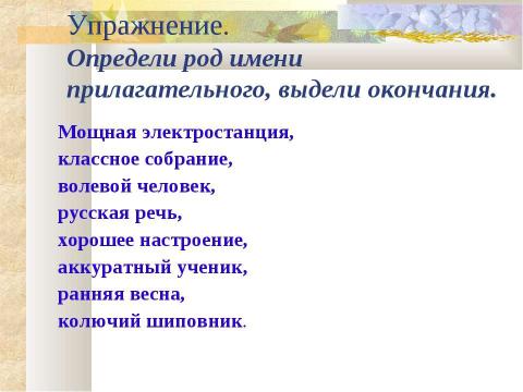 Презентация на тему "Имя прилагательное. Родовые окончания имен прилагательных" по русскому языку