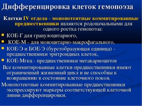 Презентация на тему "Современная схема кроветворения. Регуляция гемопоэза" по биологии