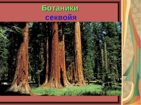 Презентация на тему "Открытие Нового Света. Америка" по начальной школе