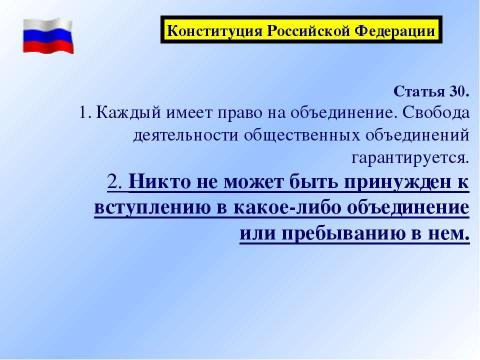 Презентация на тему "Детские и молодежные общественные организации как партнеры ученического самоуправления" по педагогике