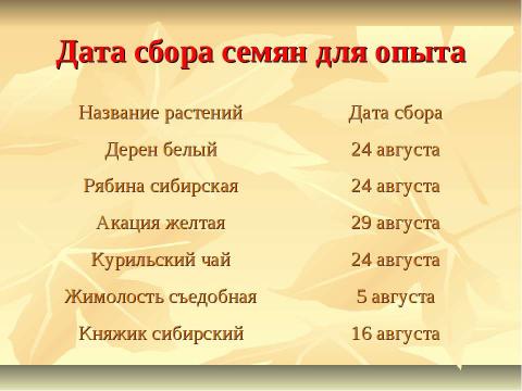 Презентация на тему "Выращивание кустарников из семян в условиях Амгинского улуса" по экологии