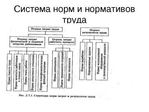 Презентация на тему "Нормирование труда" по экономике