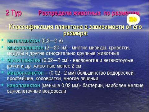 Презентация на тему "Беспозвоночные животные" по биологии