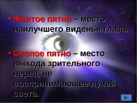 Презентация на тему "Орган зрения. Зрительный анализатор" по биологии