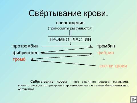 Презентация на тему "Кровь" по биологии