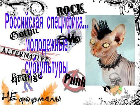 Презентация на тему "Молодежные субкультуры в современной России" по обществознанию