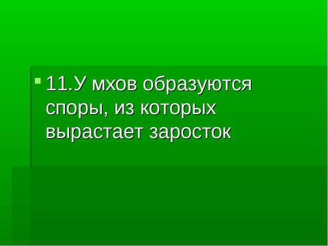 Презентация на тему "Основные группы растений" по биологии