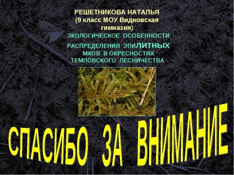 Презентация на тему "Экологическое особенности распределения эпилитных мхов в окресностях темповского лесничества" по экологии