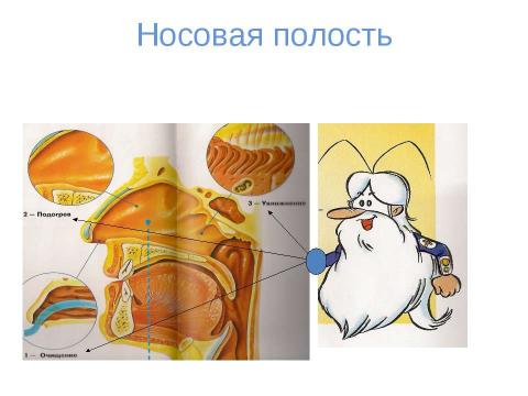 Презентация на тему "вода" по физике