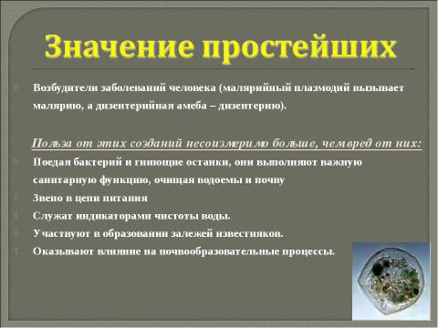 Презентация на тему "Многообразие одноклеточных организмов" по биологии