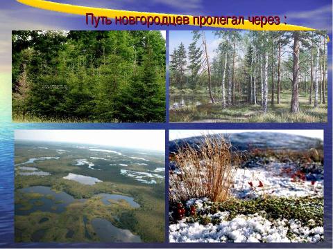 Презентация на тему "Урок окружающего мира в 3 «А» классе" по начальной школе