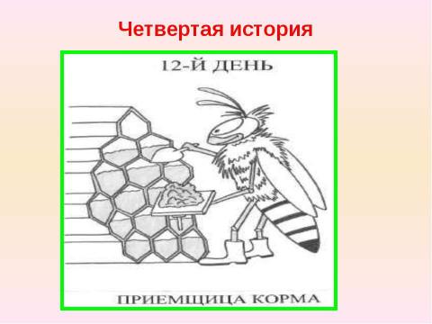 Презентация на тему "Письменное деление многозначного числа на однозначное" по начальной школе