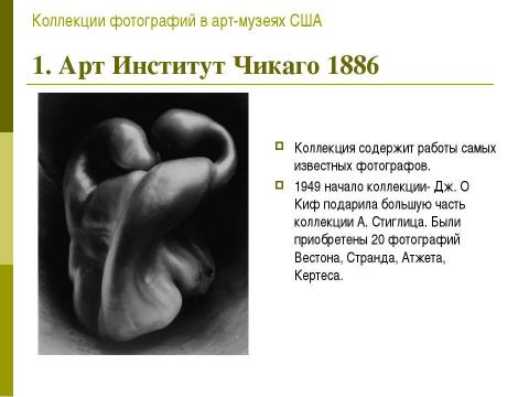 Презентация на тему "Коллекции фотографий в Арт - Музеях США" по МХК