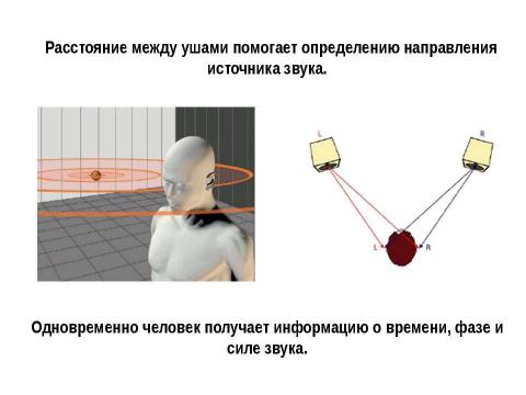 Презентация на тему "Слуховой анализатор" по биологии