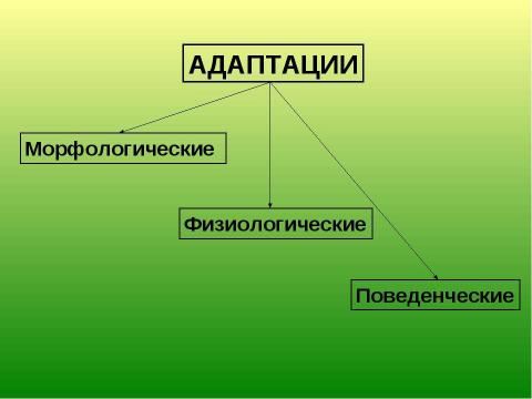 Презентация на тему "Общие законы действия факторов среды на организм" по биологии