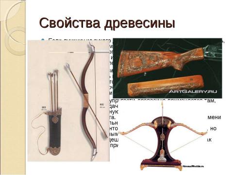 Презентация на тему "Тайны древесного ствола" по обществознанию