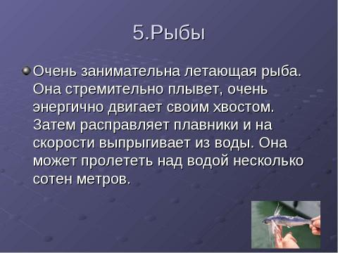 Презентация на тему "В мире природы" по окружающему миру