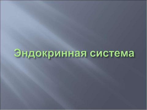 Презентация на тему "Координация и регуляция 6 класс" по биологии