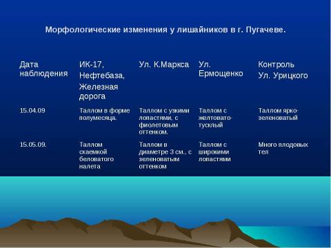 Презентация на тему "Оценка загрязнения окружающей среды г. Пугачева" по экологии