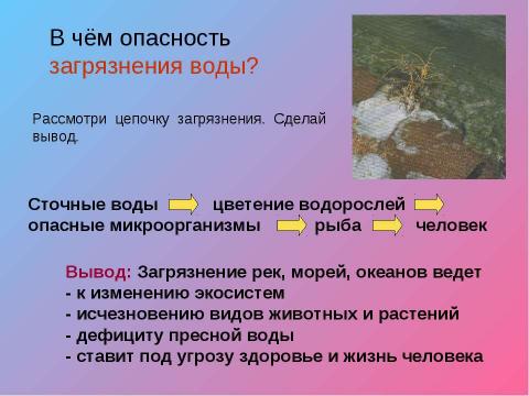 Презентация на тему "экологическая безопасность" по экологии