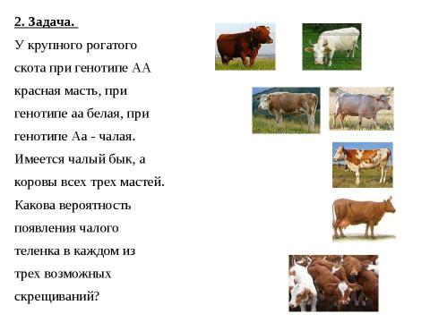 Презентация на тему "Анализирующее скрещивание. Неполное доминирование" по биологии