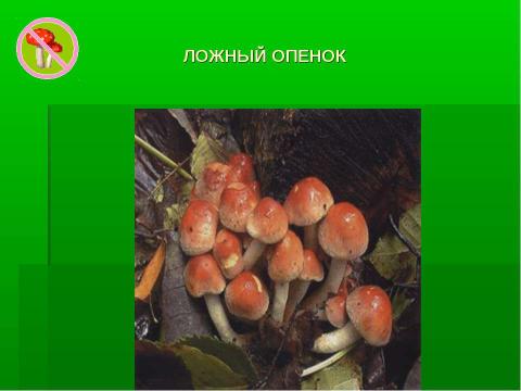 Презентация на тему "Грибное царство Смоленских борков" по начальной школе