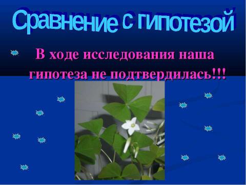 Презентация на тему ""Сон" кислицы" по экологии