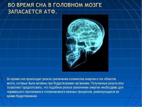 Презентация на тему "Биологическая газета «Жизнь»" по биологии