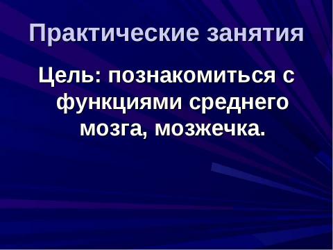 Презентация на тему "Строение и функции головного мозга" по биологии