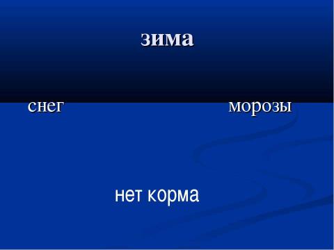 Презентация на тему "Природа и человек Птицы зимой" по окружающему миру