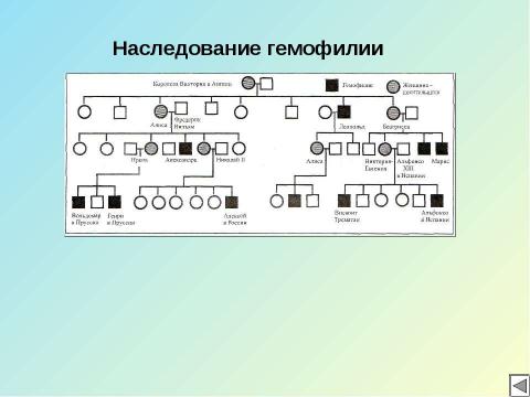 Презентация на тему "Кровь" по биологии