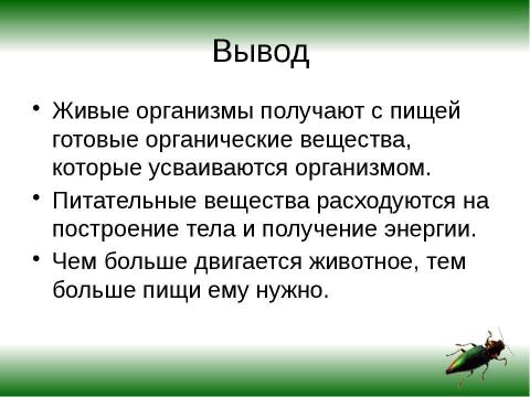 Презентация на тему "Как питаются разные животные?" по биологии