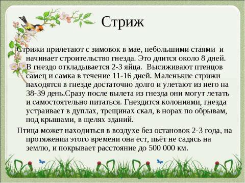 Презентация на тему "Летят перелётные птицы" по начальной школе