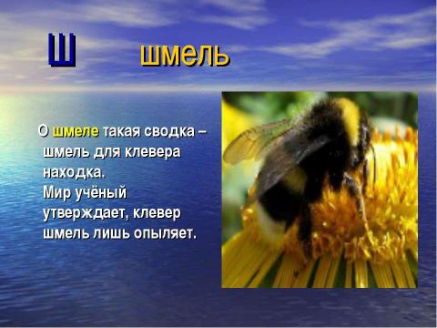 Презентация на тему "Азбука животного мира родного края" по начальной школе