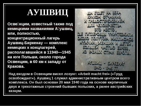 Презентация на тему "Концентрационные лагеря Третьего Рейха" по истории