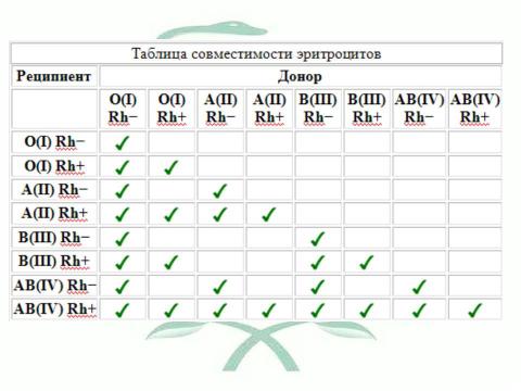 Презентация на тему "Тайная мудрость организма" по биологии