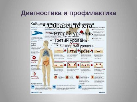 Презентация на тему "Сибирская язва" по медицине