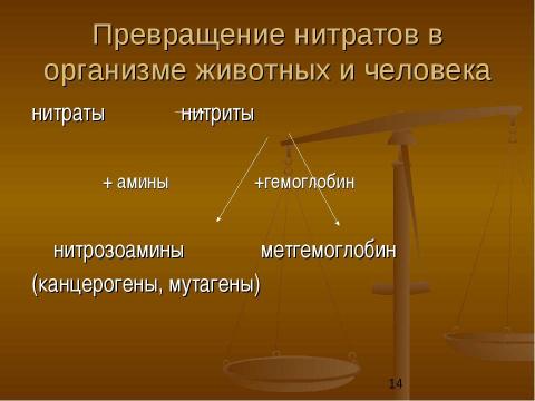 Презентация на тему "Физиологические основы применения азотных удобрений" по биологии