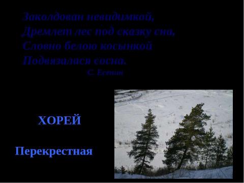 Презентация на тему "Поэтическая мастерская" по литературе