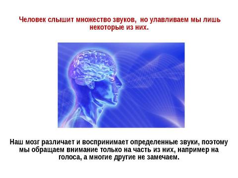 Презентация на тему "Слуховой анализатор" по биологии