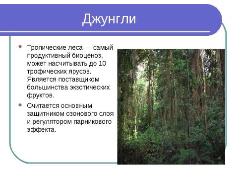 Презентация на тему "Решение экономических задач, Как проблемный метод изучения географии" по географии