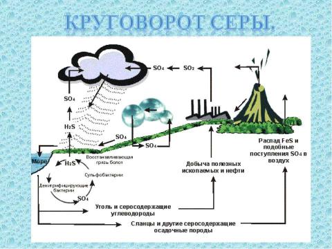 Презентация на тему "Круговорот веществ в биосфере" по географии