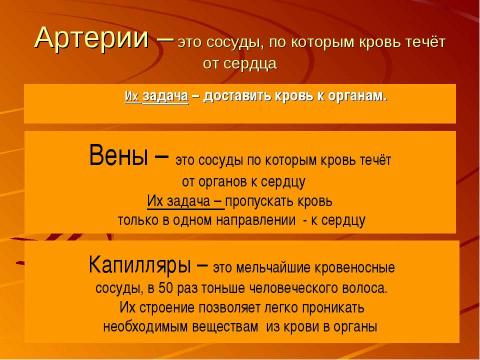 Презентация на тему "Кровеносная система человека" по биологии