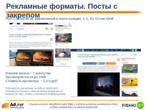 Презентация на тему "Adliner Fishki" по экономике