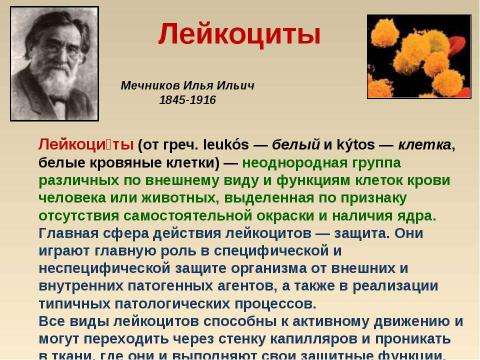 Презентация на тему "Кровь: состав и значение" по биологии